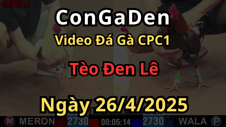 Hành Trình Vô Địch Của Anh Tèo Đen Lê Ở Giải CPC1 Ngày 26/4/2025